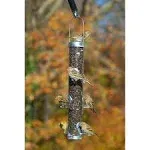 Droll Yankees Ring Pull Classic Sunflower Feeder