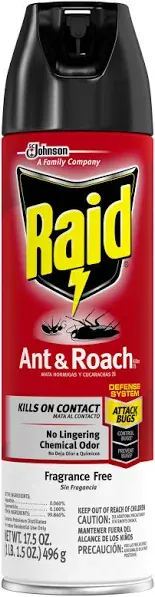 Raid Ant & Roach Spray Outdoor Fresh 17.50 oz (Pack of 3)