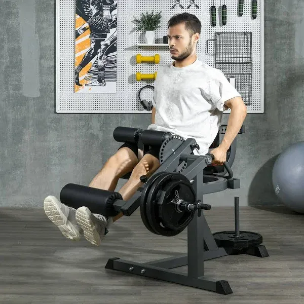 Soozier Seated Leg Raise Machine