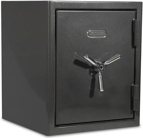 Sanctuary 4.98-cu ft Fireproof and Waterproof Floor Safe with Biometric Lock