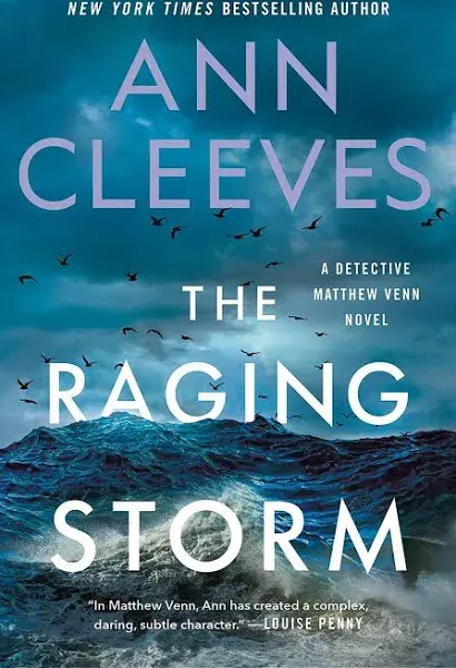 The Raging Storm: A Detective Matthew Venn Novel