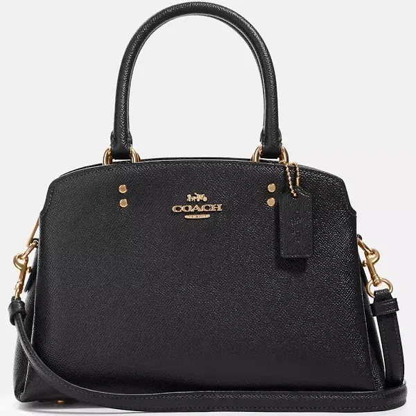 COACH LILLIE CARRYALL BAG