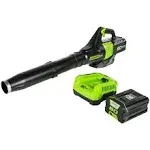 Greenworks 80V Brushless Leaf Blower 2.5 Ah Battery