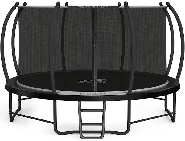 BCAN Trampoline 14FT Recreational Trampoline with Enclosure for Kids Adults, AST