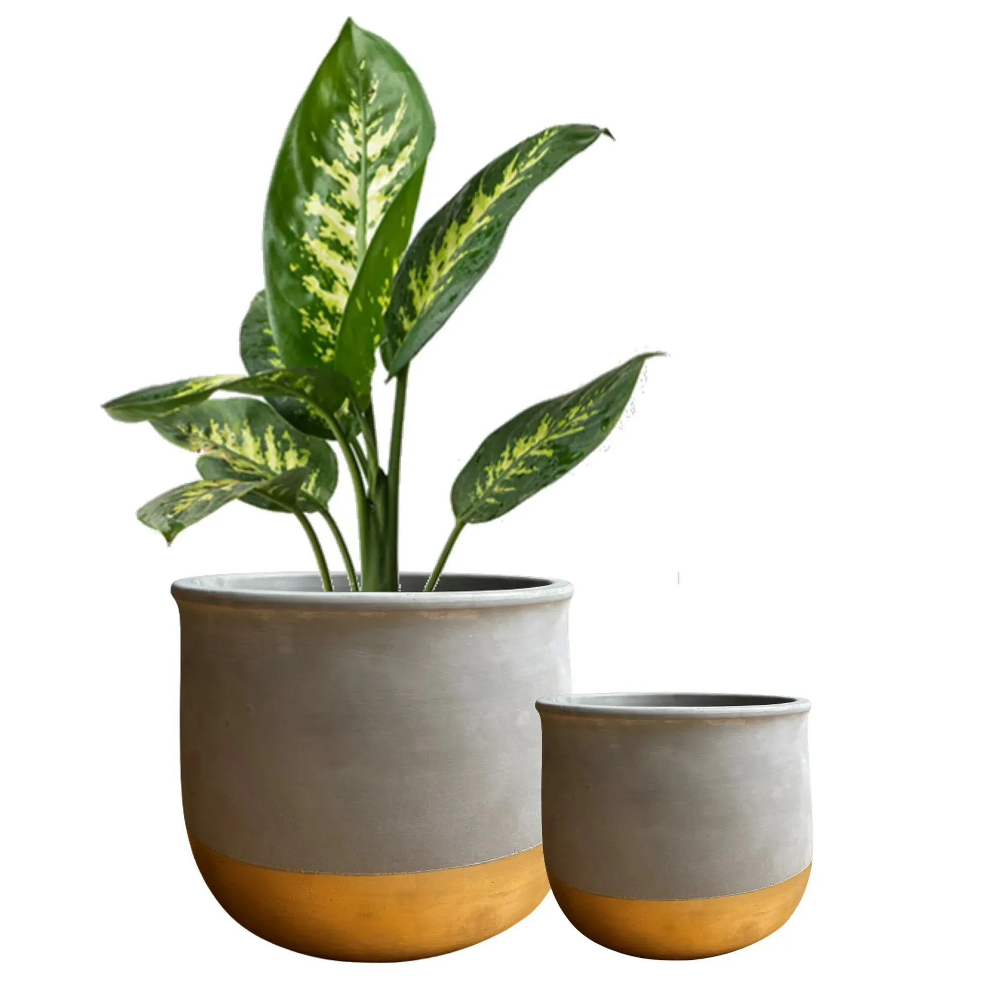 Olly & Rose Mykonos Gold Dip Ceramic Plant Pot Set 2 Indoor Planters 17cm + 12cm Outdoor Flower Pots Cement Plant Pots