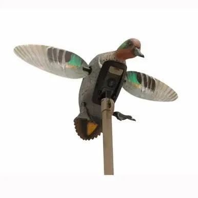 MOJO ELITE SERIES GREEN WING TEAL SPINNING WING DUCK DECOY REMOTE READY 3P