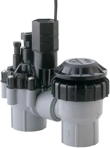 Rain Bird DASASVF075 Heavy Duty Anti-Siphon Valve Flow Control, 3/4&#039;&#039;