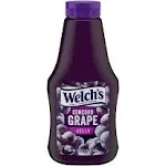 Welch's Concord Grape Jelly - 20 oz