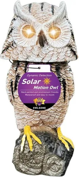 Owlsome Solar Owl