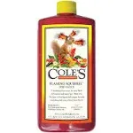 Cole's 16 oz Flaming Squirrel Seed Sauce