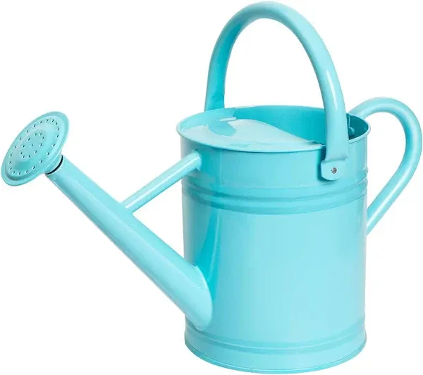 Watering Can for Outdoor&Indoor Plants，1 Gallon Metal Plant Watering Can with Detachable Diffuser Spout，Beautiful Galvanized Steel Gardening Tools，Light Blue