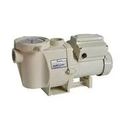 Pentair IntelliFlo VS+SVRS Variable Speed Pump EC-011057