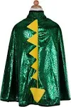 Dragon Knight Reversible Cape