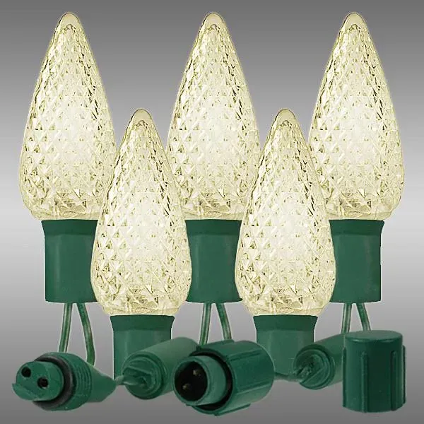 Wintergreen Lighting 25 Light C9 LED Christmas Lights