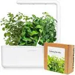 Click & Grow Smart Garden 3 Small Herbal Tea Kit White