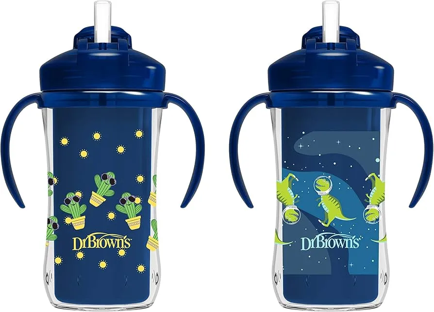 Dr. Brown's Milestones Insulated Sippy Cup with Straw and Handles