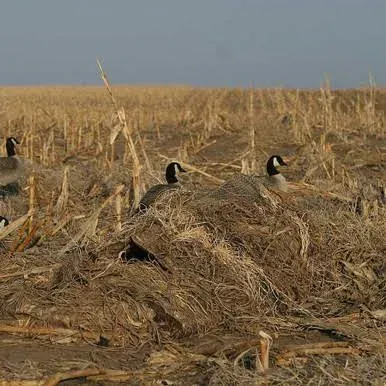 Avery Greenhead Gear Killer Weed Duck Goose Blind Kit Winter Wheat Killerweed 