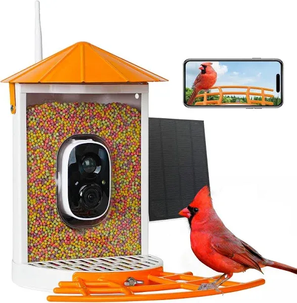 Birdkiss Metal Squirrel Proof Bird Feeder with Camera