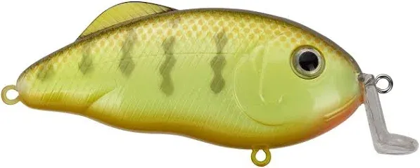 Strike King Hybrid Hunter Jr Shallow Crankbait