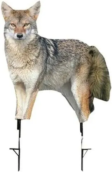 Montana Decoy Song Dog Coyote Decoy