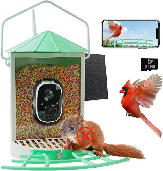 Smart Bird Feeder with Camera Solar, Auto Capture Bird Videos & Motion Detection, Bird Watching Camera Notify in Time, Metal Bird Feeder with Seed Guard, Ideal Present for Bird Lovers (Green)