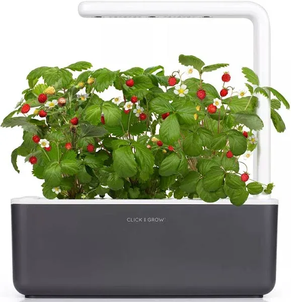 Click &amp; Grow Indoor Herbal Tea Gardening Kit | Smart Garden 3 with Grow Light