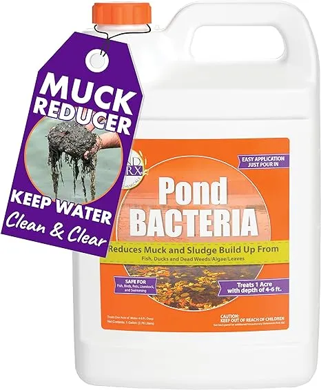 Pond Worx PondWorx Pond Bacteria Formulated for Large Ponds