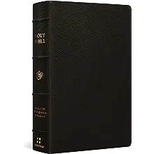 ESV Large Print Personal Size Bible (Buffalo Leather, Deep Brown) 