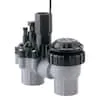 Rain Bird Anti-Siphon Valve 3/4"