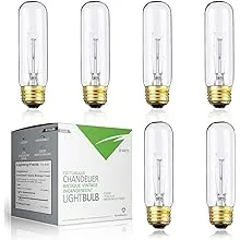 BULBMASTER 25 Watts T10 Tubular Clear Incandescent Light Bulb Antique Vintage Style Showcase