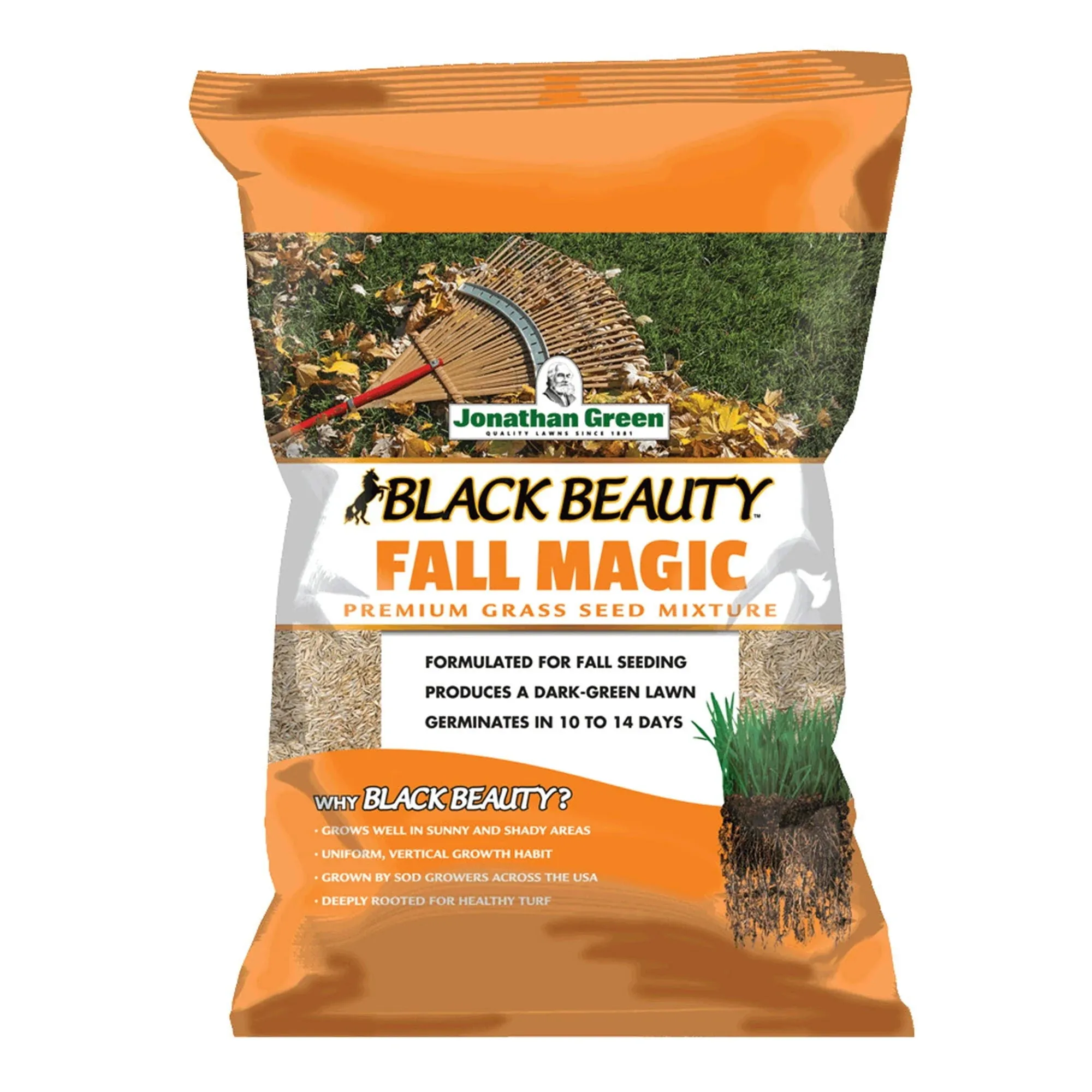 Jonathan Green (10768) Black Beauty Fall Magic Grass Seed - Cool Season Lawn Seed (7 lb)