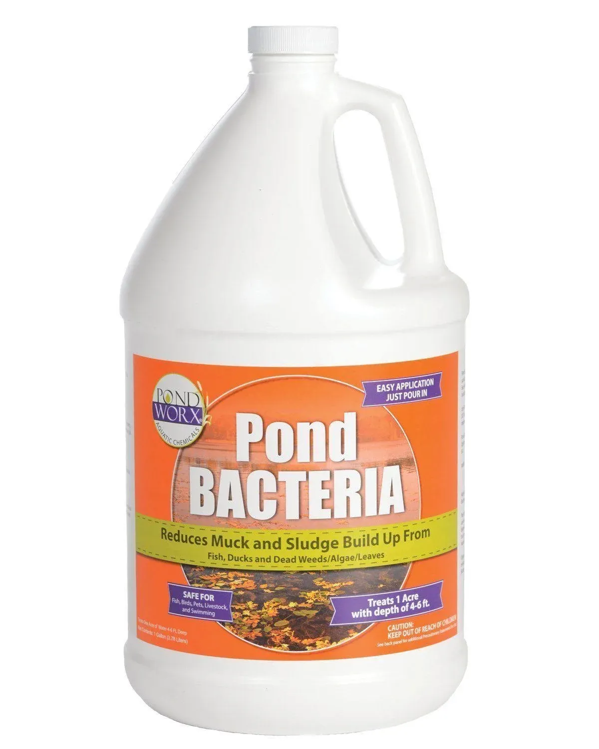 PondWorx Pond Bacteria Formulated Large Ponds Water Features and Safe for Koi 1 Gallon