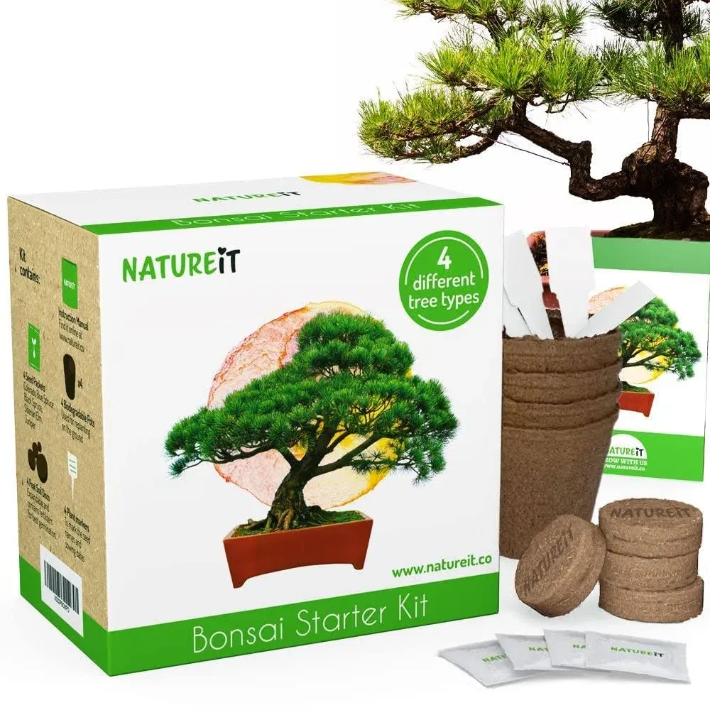 Natureit Bonsai Tree Starter Kit - Grow 4 Bonsai Trees from Seeds. All-in-One Indoor/Outdoor DIY Craft Kits for Adults Men & Women. Christmas Ideas for Plant Lovers or Mom & Dad who has Everything