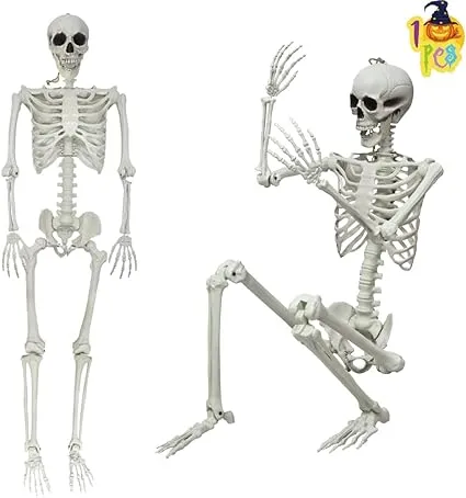 LUKBERA 5.4FT/165cm Halloween Skeleton Decorations, Full Body Realistic Posable Skeleton Life Size Human Bones with Movable Joints for Halloween Party Haunted Graveyard House Indoor Outdoor Decor