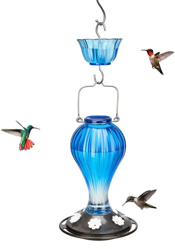 Glass Hanging Hummingbird Feeder Kingsyard Color: Blue/Black