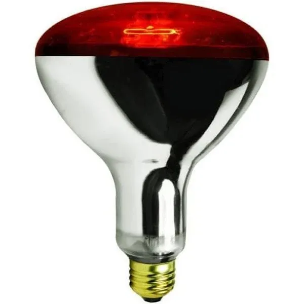 125 watt Infrared RED heat lamp light bulb