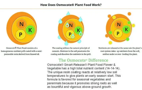 ® Osmocote Classic Flower and Vegetable Smart-Release Plant Food, 15 oz Bag (14-14-14 Plant Fertilizer)