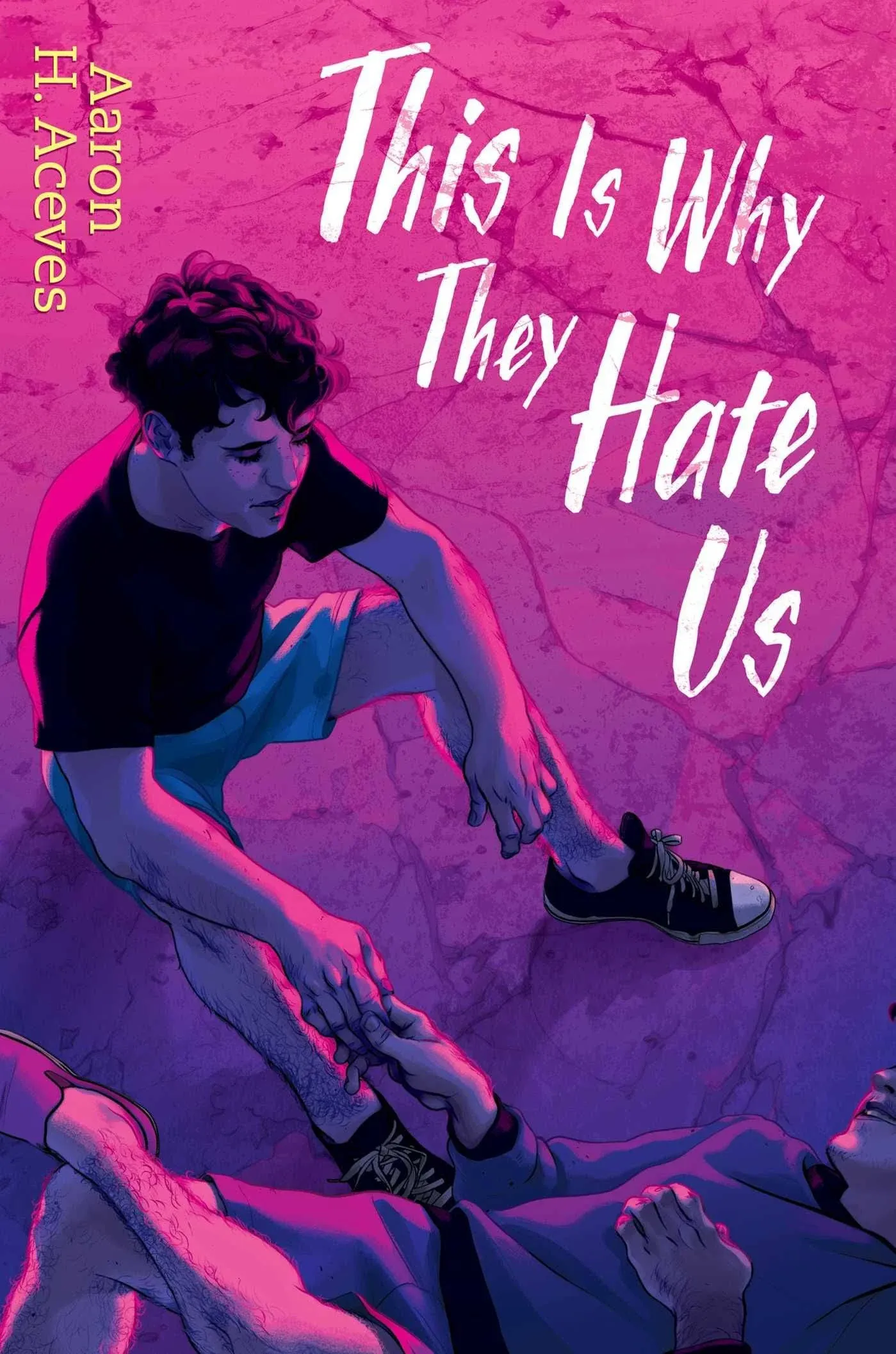 This Is Why They Hate Us [Book]