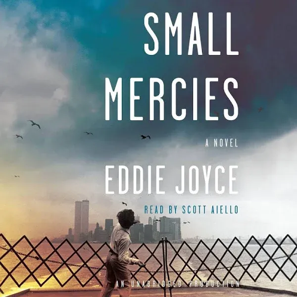 Small Mercies: A Novel [Book]