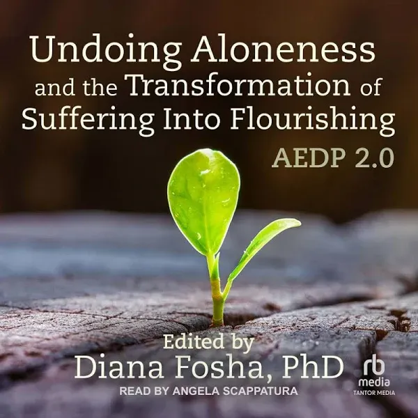 Undoing Aloneness and the Transformation of Suffering Into Flourishing: AEDP 2.0 ...