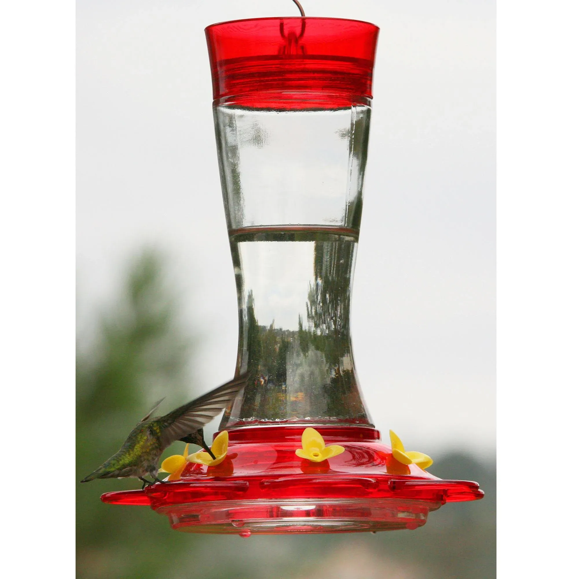 Classic Brands Garnet Hummingbird Feeder, Red, 20 oz