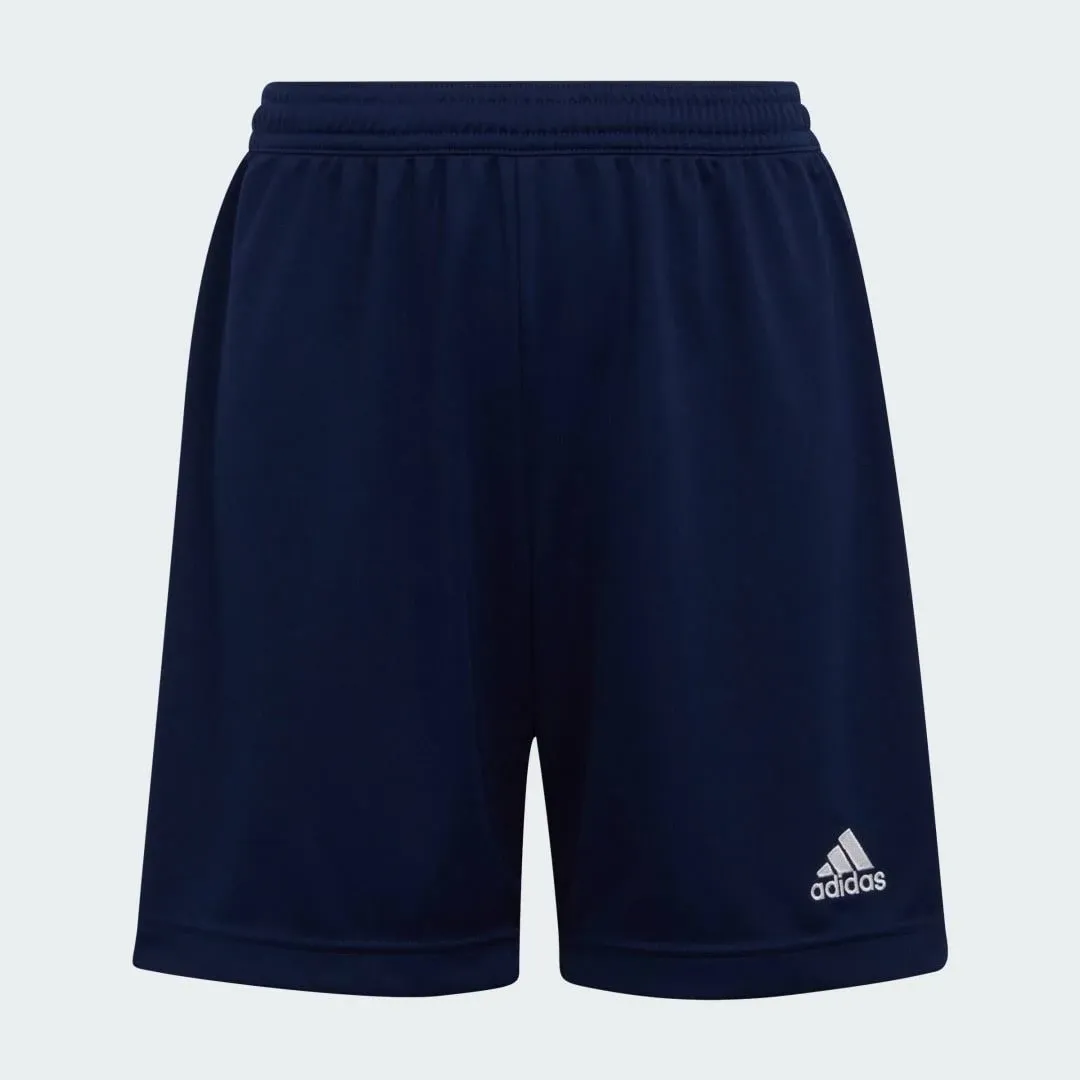 Adidas Entrada 22 Shorts