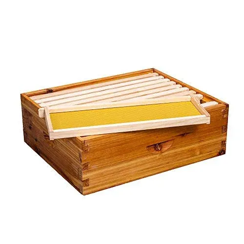 Maybee Bee Hive 10 Frame Bee Hives and Supplies Starter Kit, Bee Hive for ...