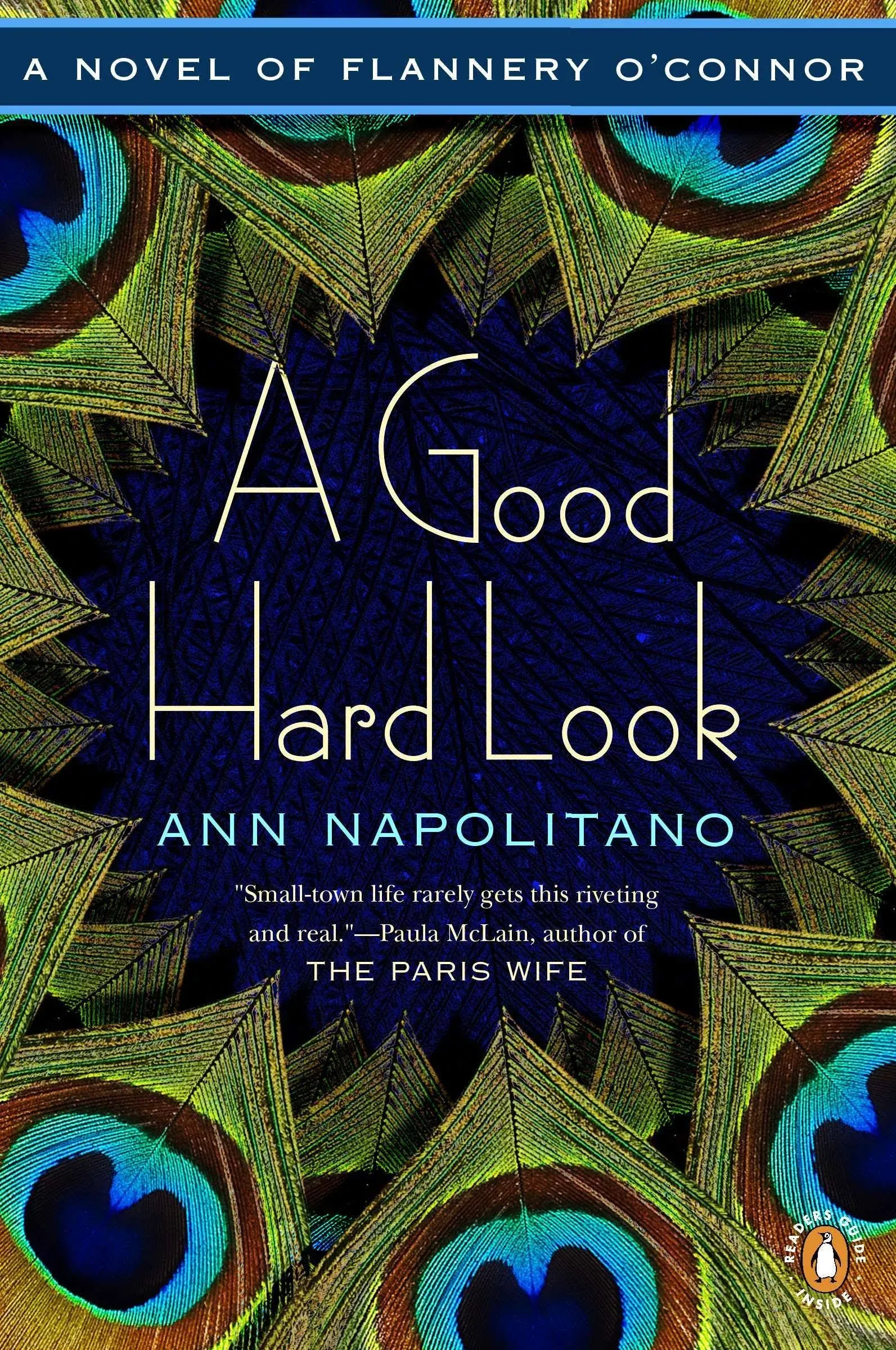 A Good Hard Look: A Novel [Book]