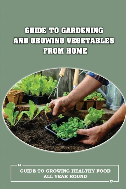 Guide To Gardening And Growing Vegetables From Home : Guide To Growing Healthy Food All Year Round: Things To Think About Before Preparing A Raised Bed Garden (Paperback)