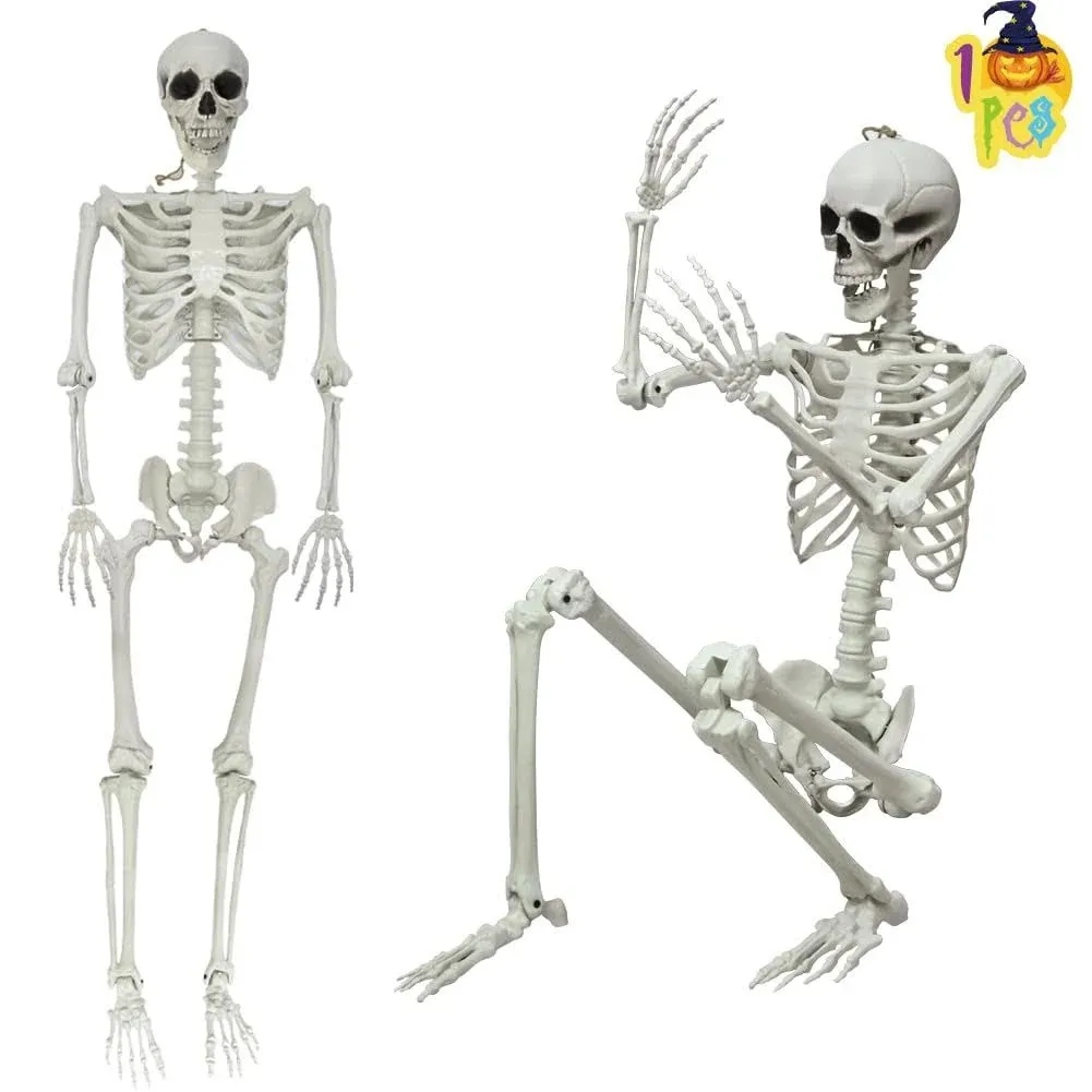 LUKBERA 5.4ft/165cm Halloween Skeleton Decorations, Full Body Realistic Posable ...