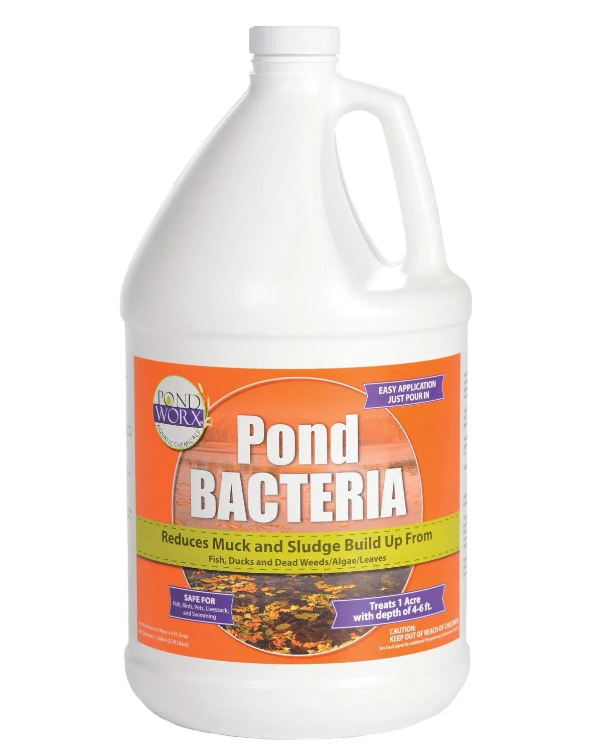 PondWorx Pond Bacteria Formulated Large Ponds Water Features and Safe for Koi 1 ...