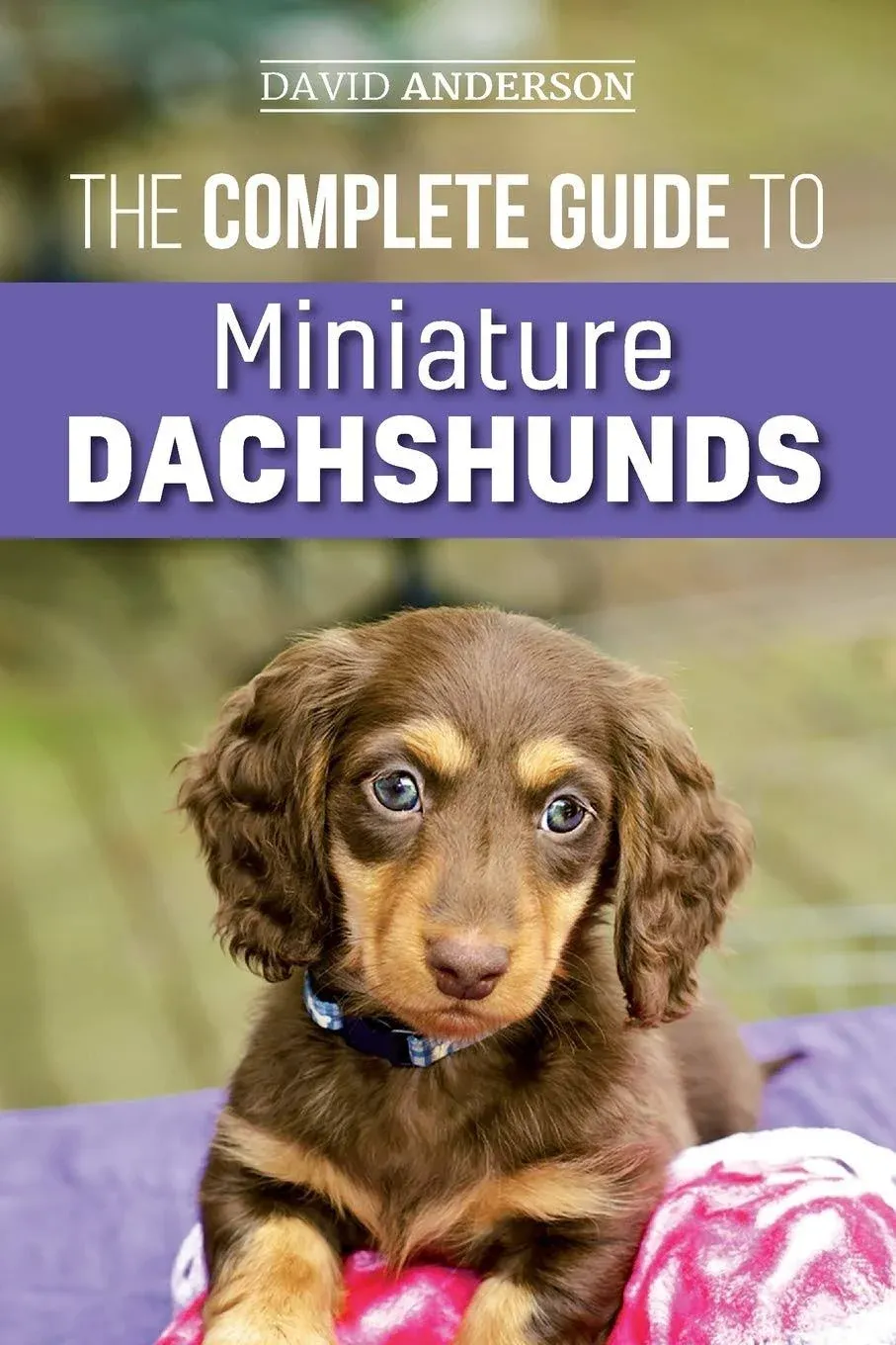 The Complete Guide to Miniature Dachshunds : A Step-by-Step Guide to Successfully ...