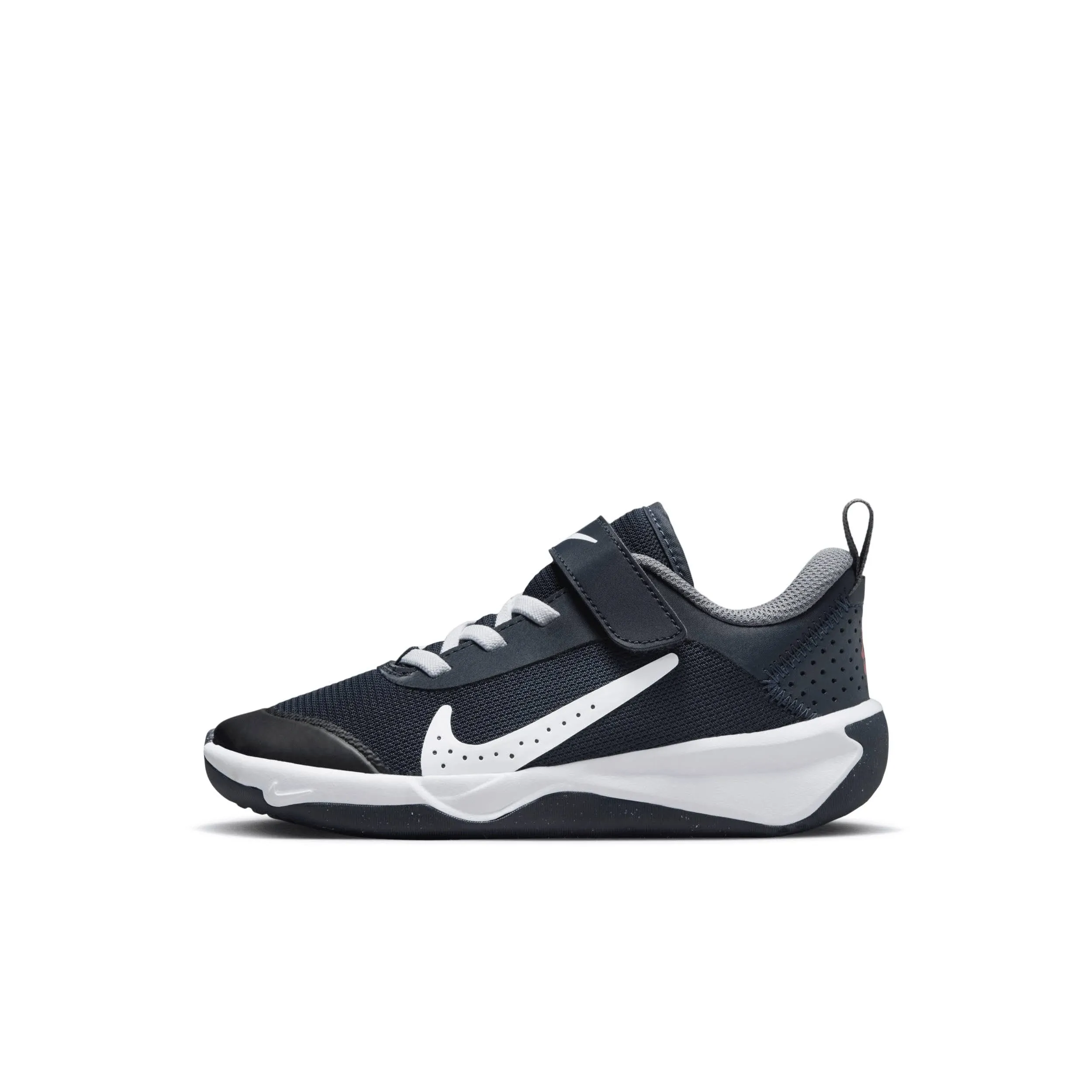 Nike Performance OMNI MULTI COURT - Trainingsschoen