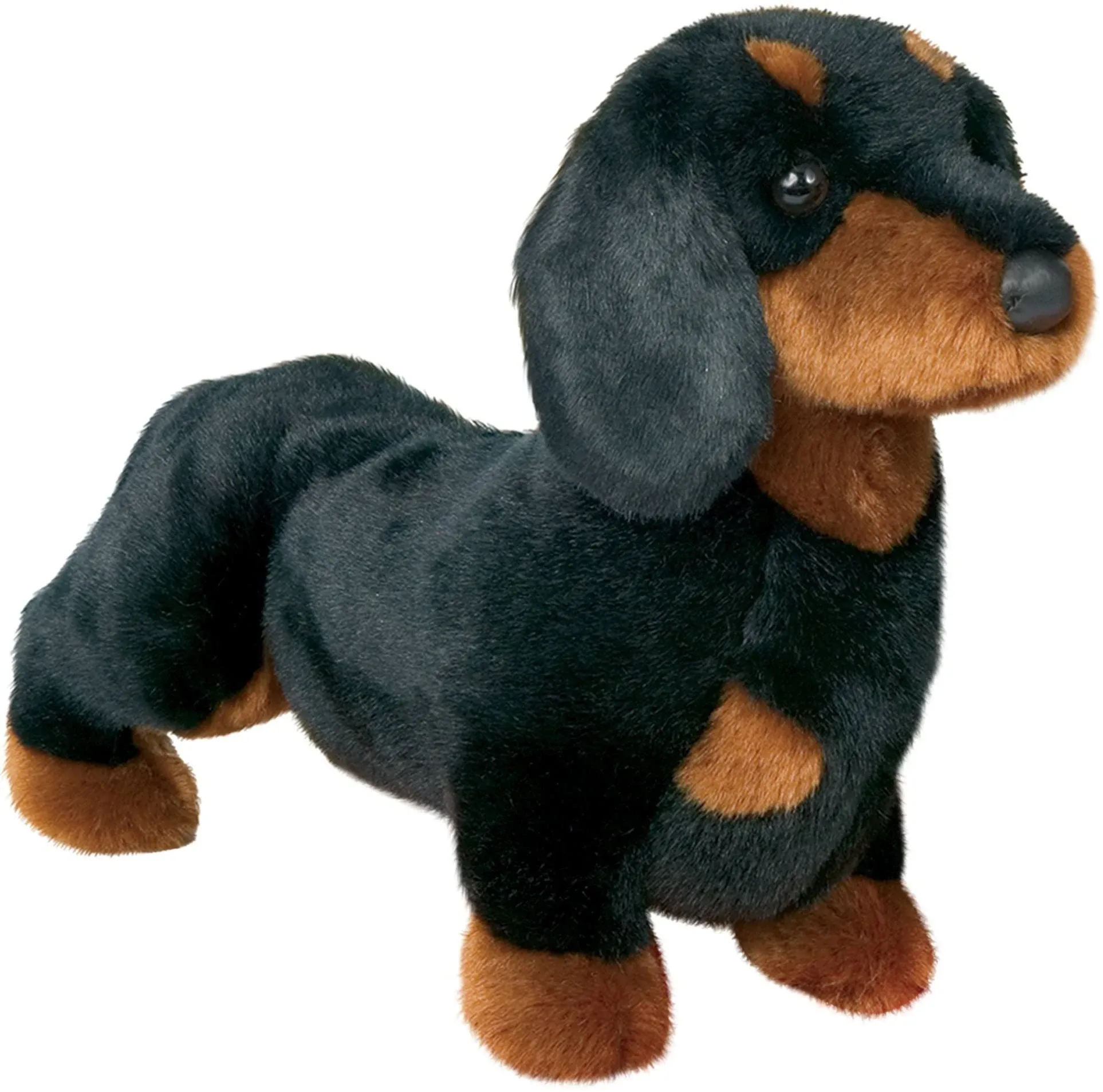 Spats the Black Dachshund